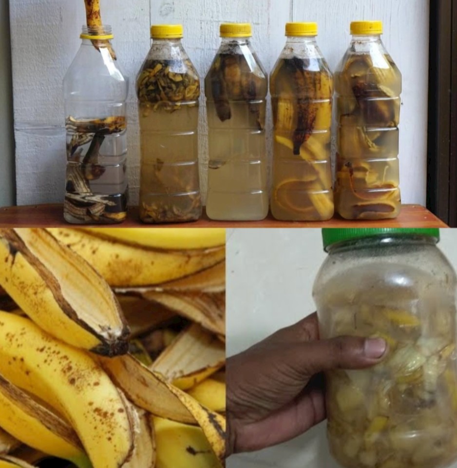 Place banana peels in a bottle and watch what happens.