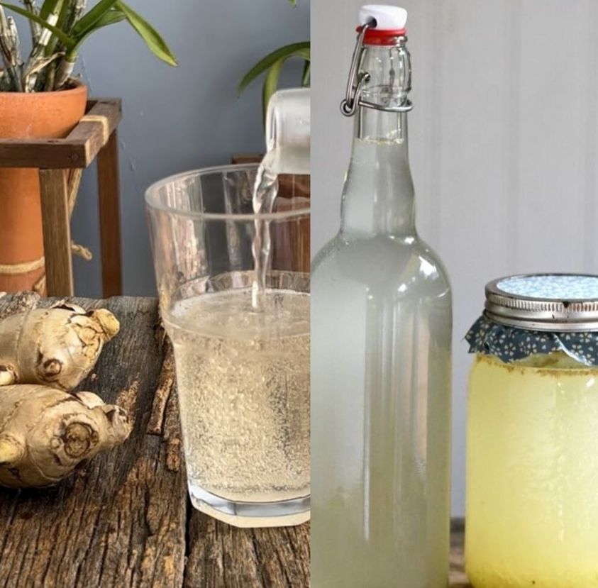 Ginger beer recipe, natural, delicious, and healing