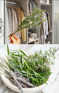 One sprig of rosemary in the cupboard, they even do it in the laundry room.