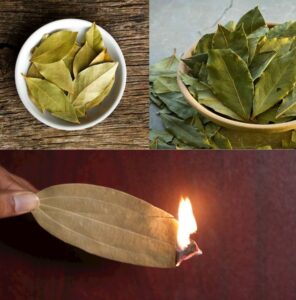 How to Parfume the Entire House with Three Bay Leaves