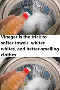 Vinegar is the trick to softer towels, whiter whites, and better-smelling clothes